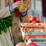 Biodegradable Bags